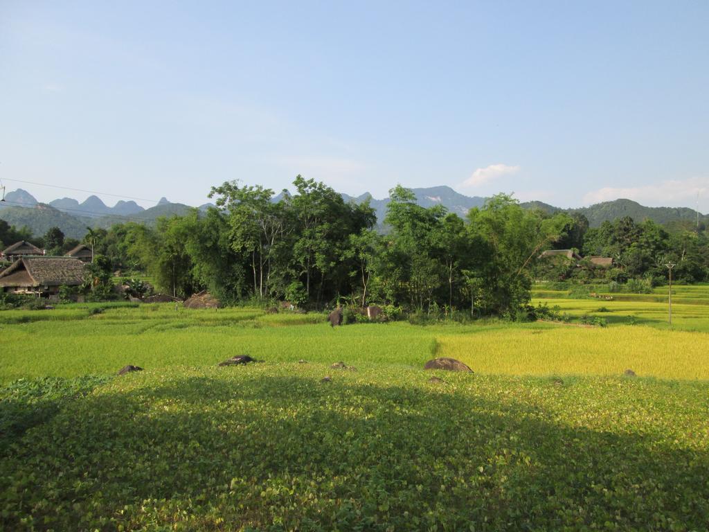 Dong Que Homestay-Tours-Motorbike, Car Rental, Hiking Hà Giang Ngoại thất bức ảnh